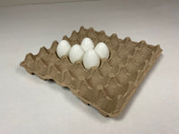 NEW! 5 x 6 XL Filler Flat w/ FREE SHIPPING*