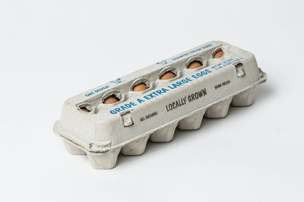 12 ct Extra Large View Post Pulp Stock Egg Cartons w/ Free Shipping