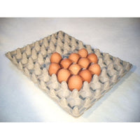 6 x 8 Hatchery Egg Flat