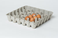 6 x 6  Pulp Egg Trays w/ FREE SHIPPING