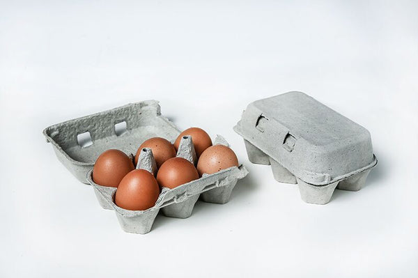 2 x 6 Pillo Pulp Split 6 Egg Cartons - (Non Printed) w/ FREE SHIPPING* Does not include Eggs